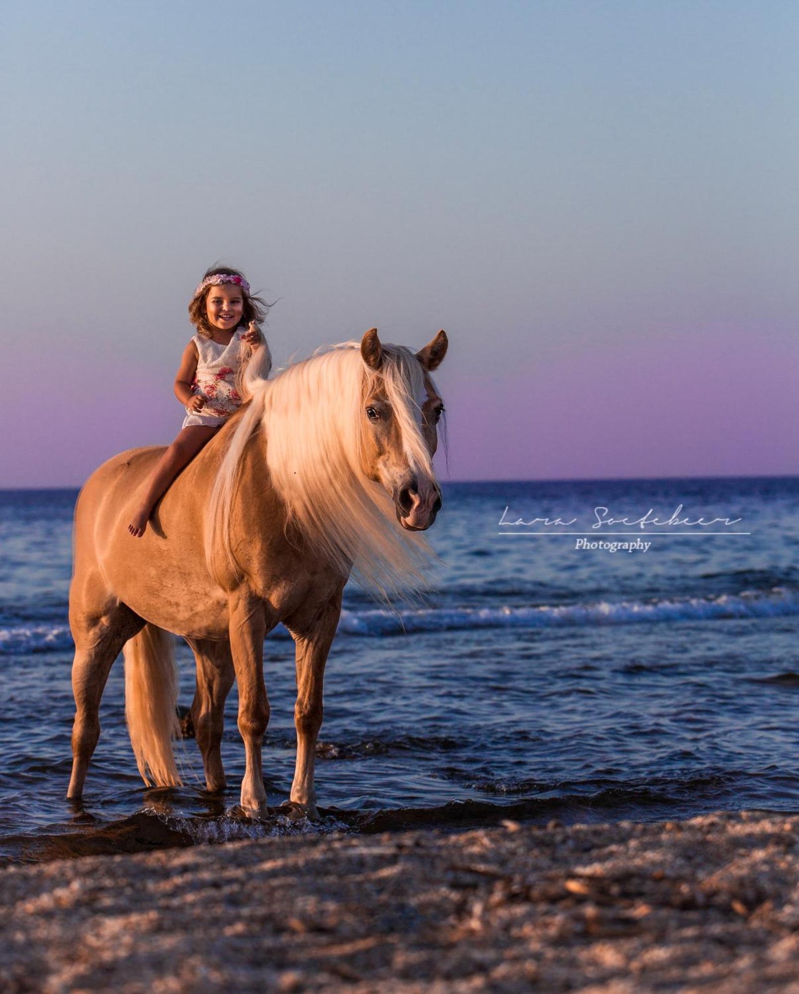 Arion Stables & Apartment