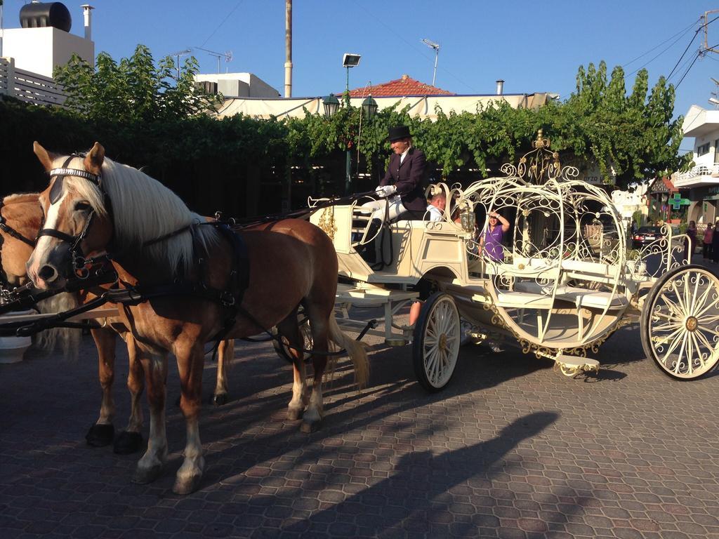 Arion Stables & Apartment