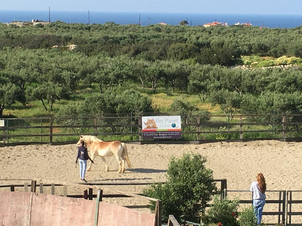 Arion Stables & * Hersónissos