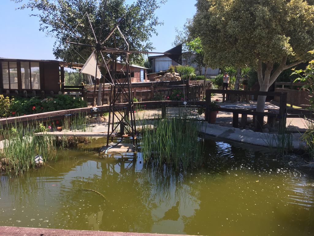 Arion Stables & Apartment