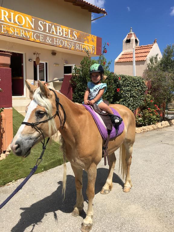 Arion Stables & Appartement