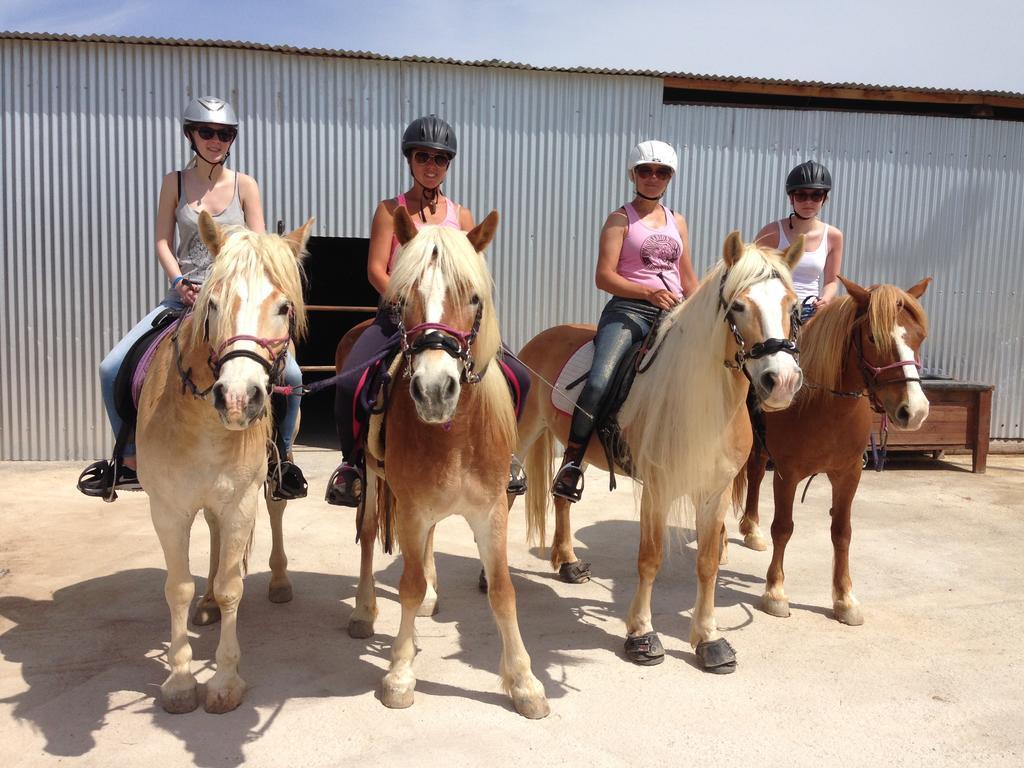 Arion Stables & Apartment *